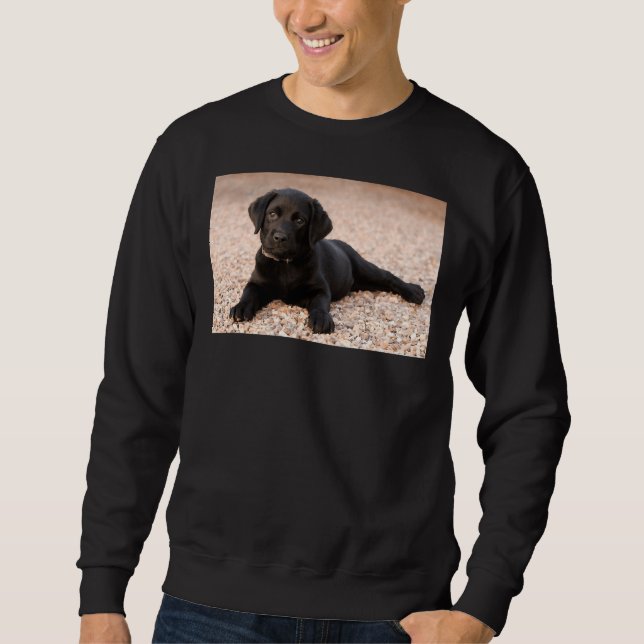 Sweatshirt Labrador Retriever Puppy (Devant)