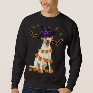 Sweatshirt Labrador Wizard Casquette Tree Lights Citrouille P