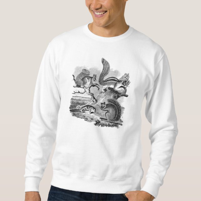 Sweatshirt le cru de 1800s accumule l'illustration - écureuil (Devant)