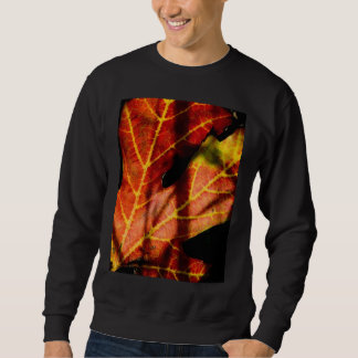 Sweatshirt les années avant