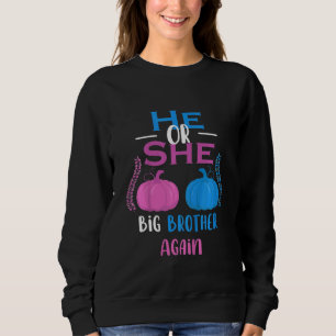 Sweatshirt Les Enfants Lui Ou Elle Big Brother Encore Une Foi