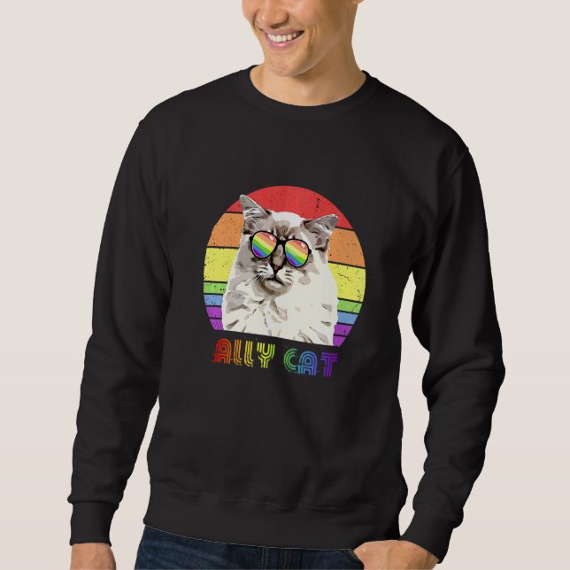 Sweatshirt Lgbtq Ally Chat Rainbow Gay pride Drapeau Lgbt 12 (Devant)