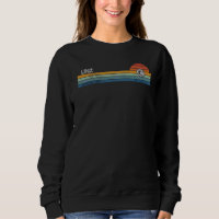 Linz Upper Austria Retro Sunset Rainbow Synth Stri