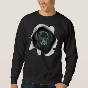 Sweatshirt Mignonne Carlin Visage Chien Chien Chiot Hommes Fe