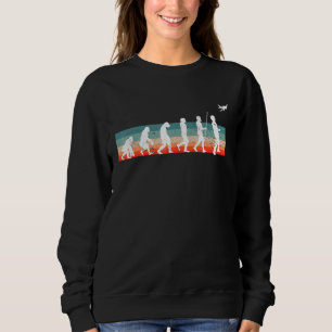 Sweatshirt Modèle d'évolution Vol Rc Avion Avion Avion