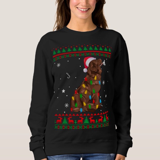 Sweatshirt Noël Doux moche Feux de Noël Terre-Neuve Do (Devant)