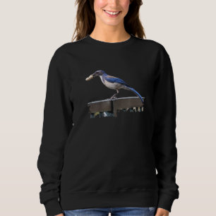 Sweatshirt Oiseaux Observation des oiseaux California Scrub J