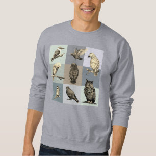 Sweatshirt OISEAUX, perroquets, hibou, pigeons, kookaburra