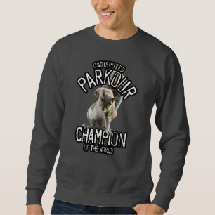 Sweatshirt Parkour Squirrel - drôle freerunning