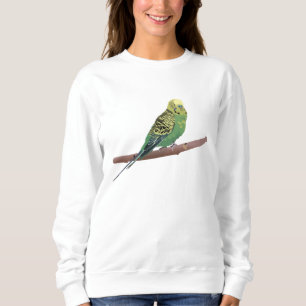 Sweatshirt Parrot Budgerigar 