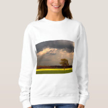 Paysage 11