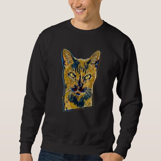 Sweatshirt Peinture Abstraite Numérique D'un Chat 53 (Devant)