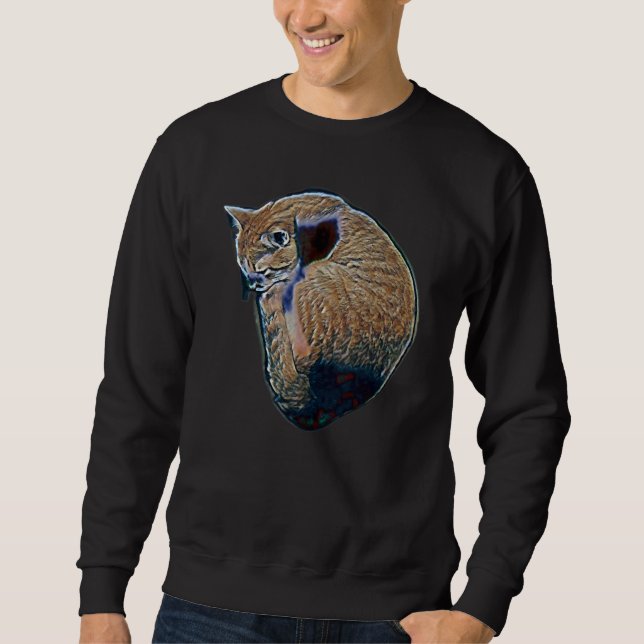 Sweatshirt Peinture Abstraite Numérique D'un Chat 55 (Devant)