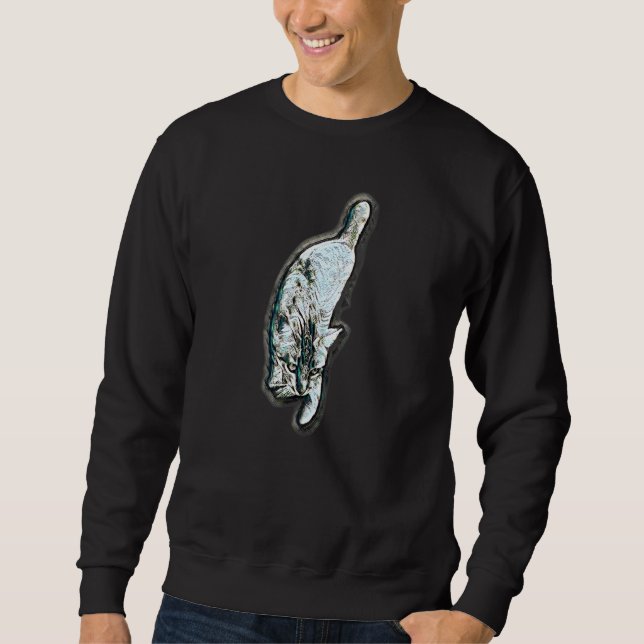 Sweatshirt Peinture Abstraite Numérique D'un Chat 63 (Devant)