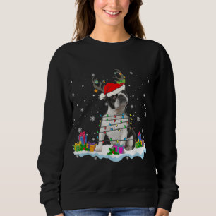 Sweatshirt Père Noël Boston Terrier illuminations de Noël Pèr
