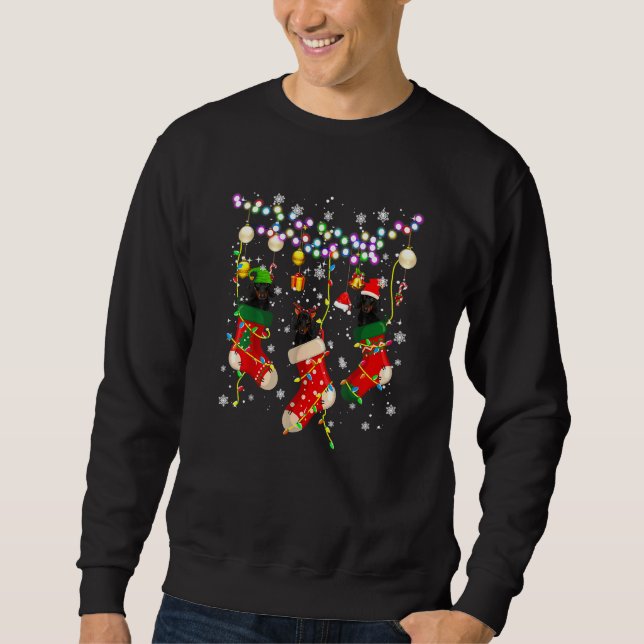Sweatshirt Père Noël Elf Reindeer Dachshund Dans Chaussettes  (Devant)