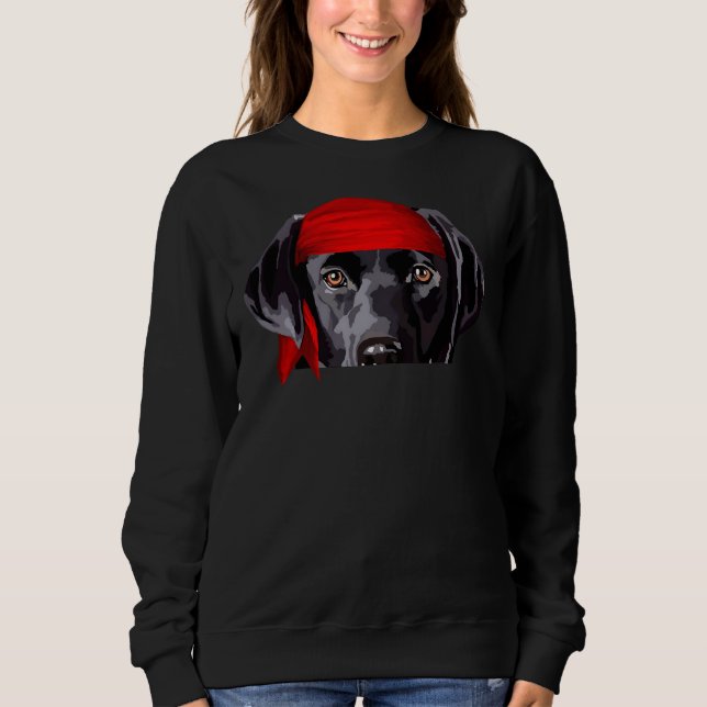 Sweatshirt Pirate curieux Black Lab Chipot (Devant)