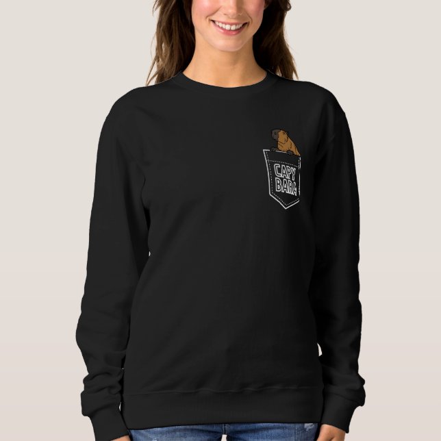 Sweatshirt Pocket Capybara Rodent Animal OK Pull Up Capy  1 (Devant)