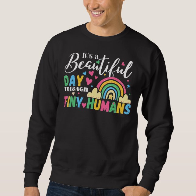 Sweatshirt Professeur Rainbow C'est une belle journée pour en (Devant)