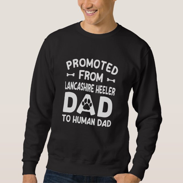 Sweatshirt Promoted From Lancashire Heeler Dad To Human Dad (Devant)