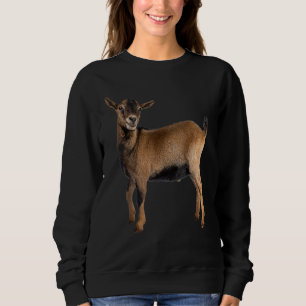 Sweatshirt Protection des animaux Protection des animaux Prot