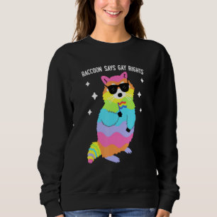 Sweatshirt Raccoon dit Gay Rights Pride LGBT
