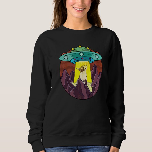 Sweatshirt Race de chien Terrier de Boston  73 (Devant)
