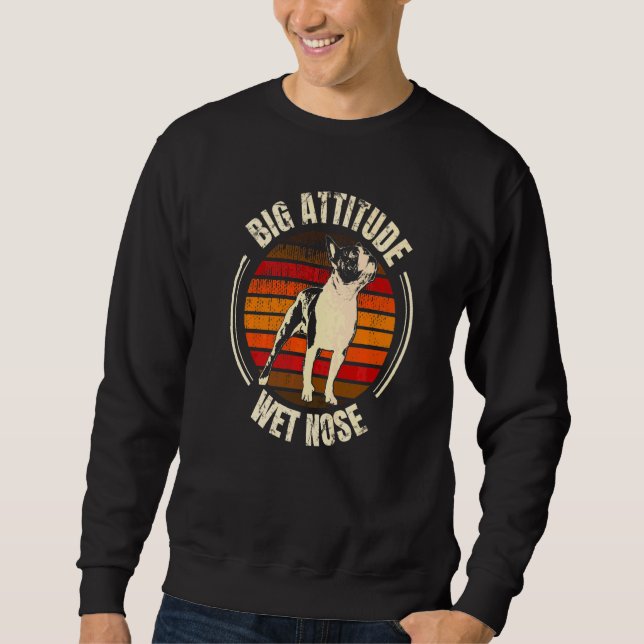 Sweatshirt Race de chien Terrier de Boston  78 (Devant)