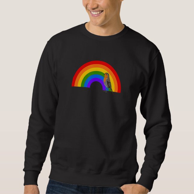 Sweatshirt Robin Rainbow Bird Bird Birdwatcher Animal Biologi (Devant)