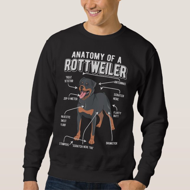 Sweatshirt Rottweiler anatomie drôle chien (Devant)