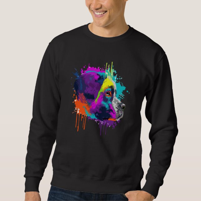 Sweatshirt Saint Bernard For Dog Colorful (Devant)