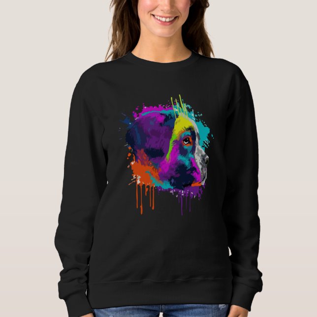 Sweatshirt Saint Bernard For Dog Colorful (Devant)