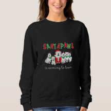 Santapaws arrive en ville