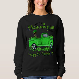 Sweatshirt Schnauzer Miniature Laisser Les Shenanigans Commen