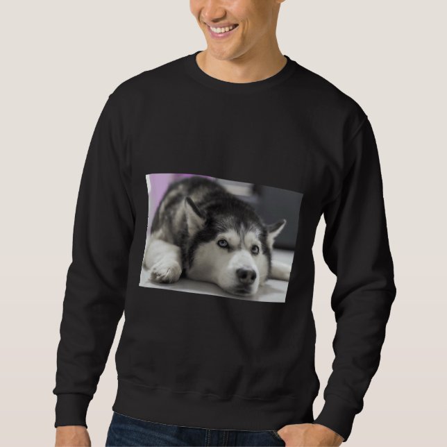 Sweatshirt Sibérie Husky 32 (Devant)