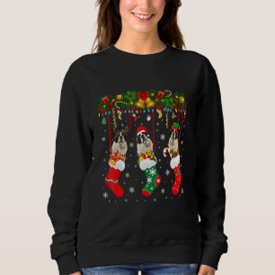 Sweatshirt St Bernard In Sock Xmas Reindeer Chien Elf Père No