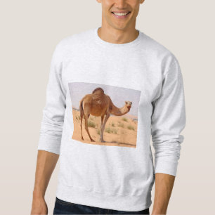 Sweatshirt Sweat-shirt pour hommes gris clair  J'AIME  SAHARA