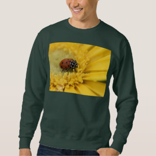 Sweatshirt T-Shirt coccinelle