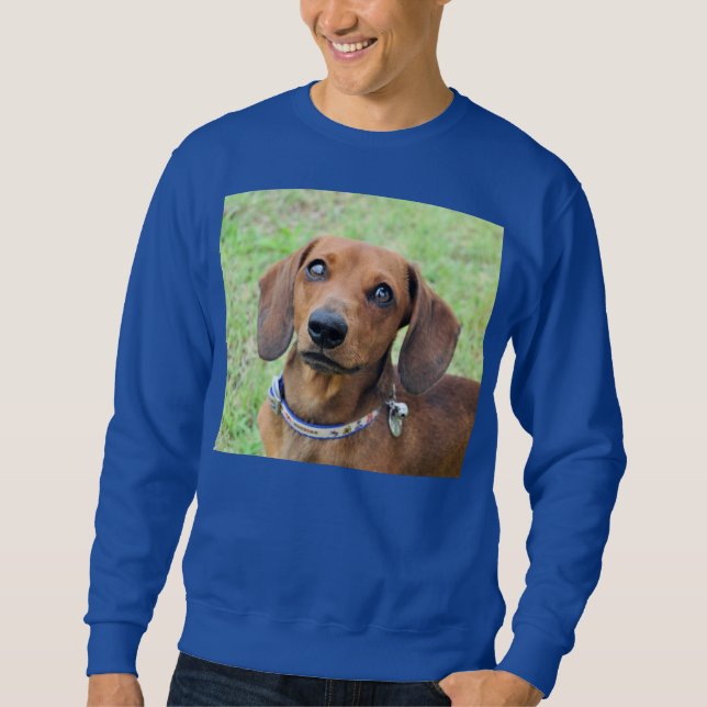 Sweatshirt T-shirt Dachshund (Devant)
