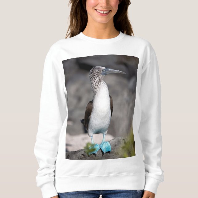 Sweatshirt T-shirt élégant - Parfait pour porter au quotidien (Devant)