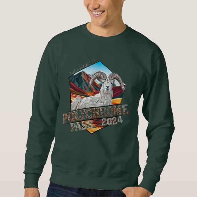 Sweatshirt T-shirt Lon-Sleeve polychrome (Devant)