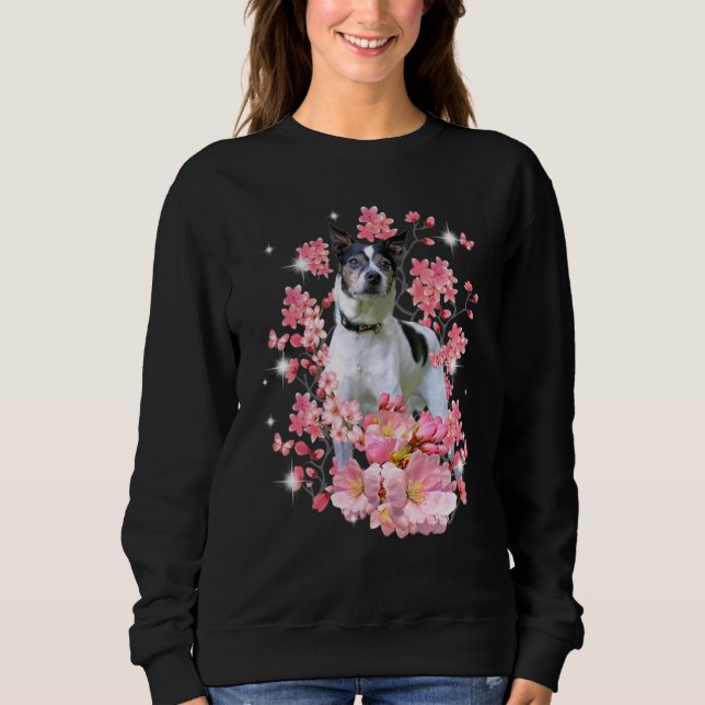 Sweatshirt Teckel Rat Fleurs de Cerisier Japonais (Devant)