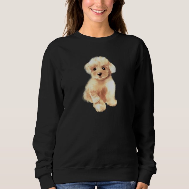 Sweatshirt Toy poodle dog ,breed,mini poodle puppy (Devant)