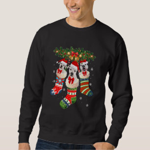 Sweatshirt Trois Dogo Argentino En Sock Noël Père Noël X Mas