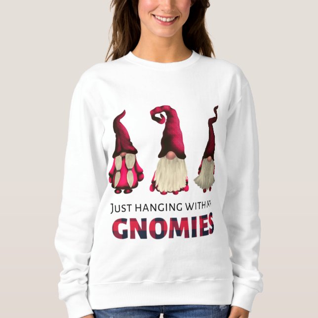 Sweatshirt Trois Gnomes juste accroché avec mes Gnomies Buffa (Devant)