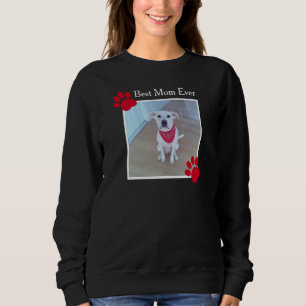 Sweatshirt Un chien photo mignon avec Red Scarf Meilleures pa