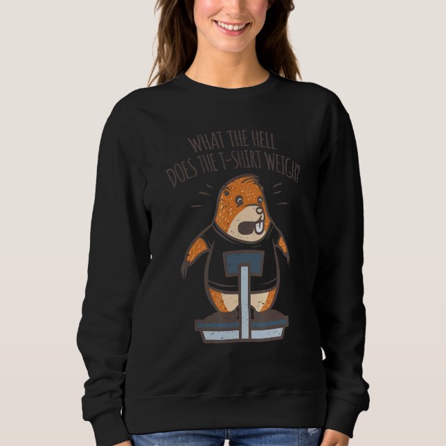 Sweatshirt Une taupe avec un dessus sur la balance (Devant)
