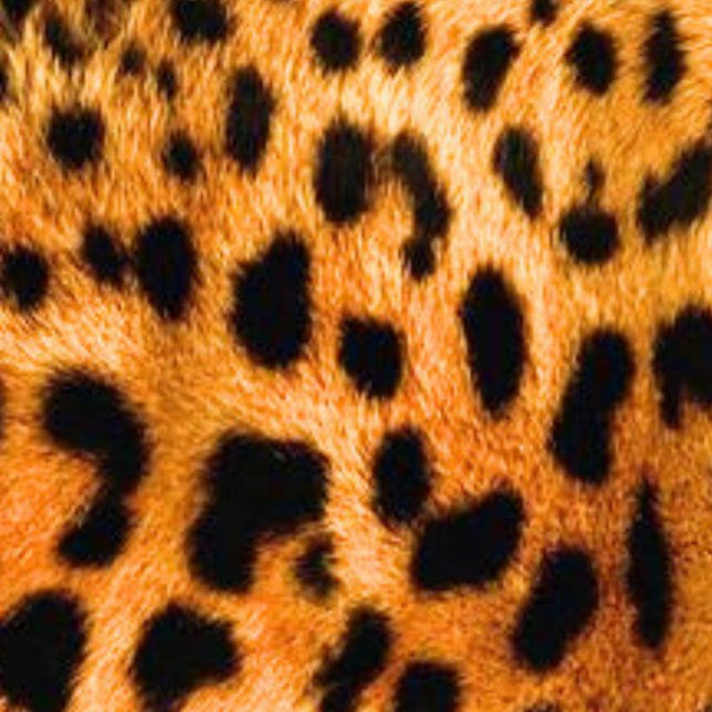 Sweatshirt Unisexe (Créateur téléchargé)