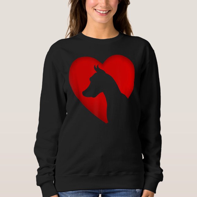 Sweatshirt Valentines Day Coeurs rétro Doberman Chien Chien C (Devant)
