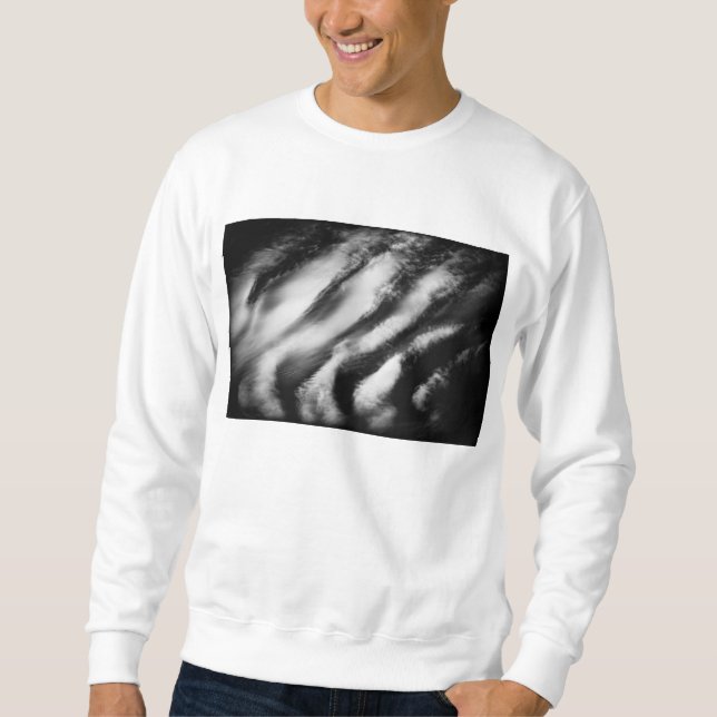 Sweatshirt vautours tombés (Devant)